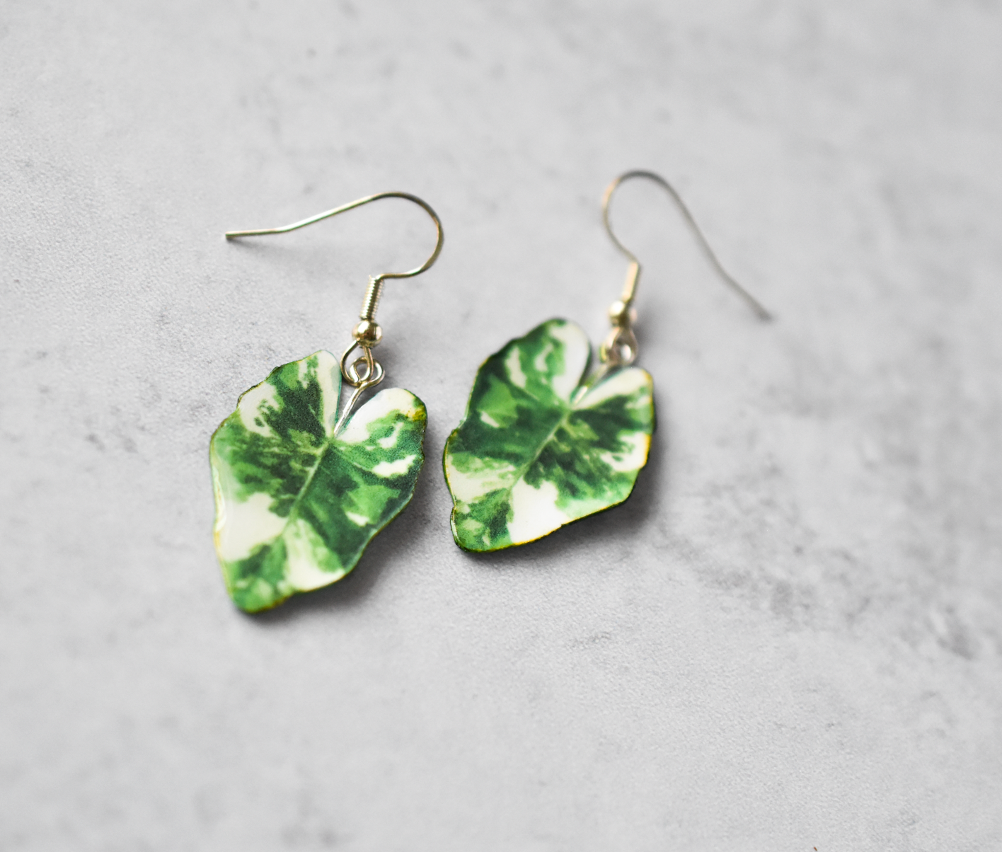 Variegated Alocasia Macrorrhiza Plant Earrings | Leaf Earrings