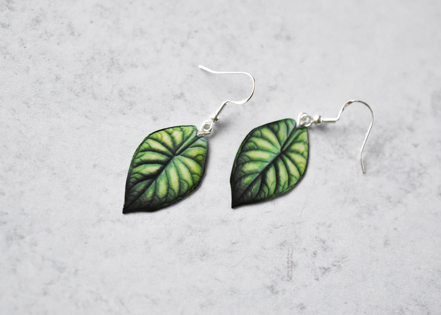 Alocasia Dragon Scale Plant Earrings | Leaf Earrings