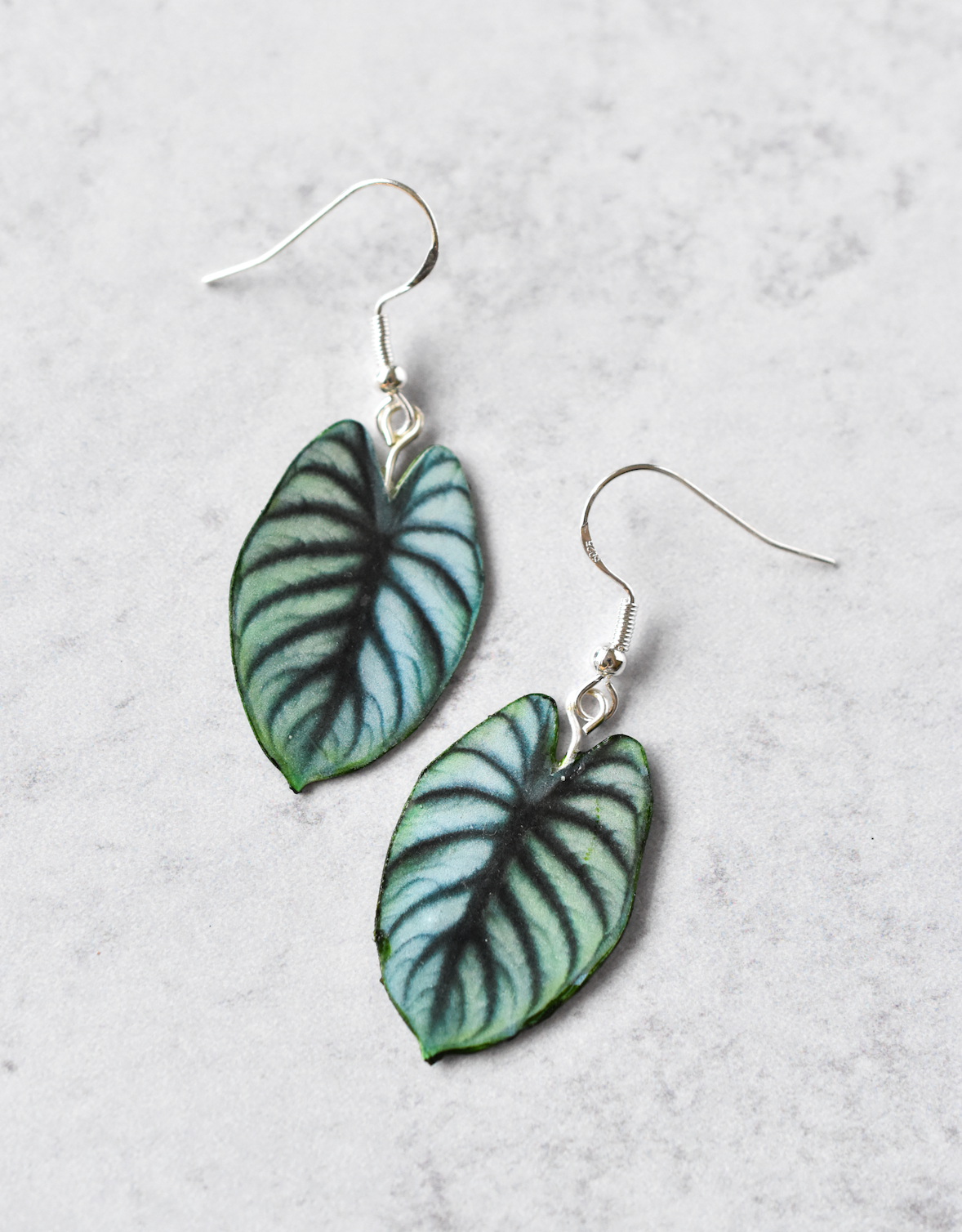 Alocasia Silver Dragon Plant Earrings | Leaf Earrings