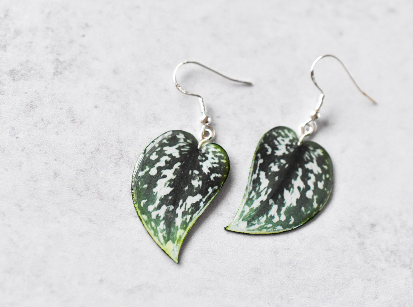 Scindapsus Argyraeus "Satin Pothos" Plant Earrings | Leaf Earrings
