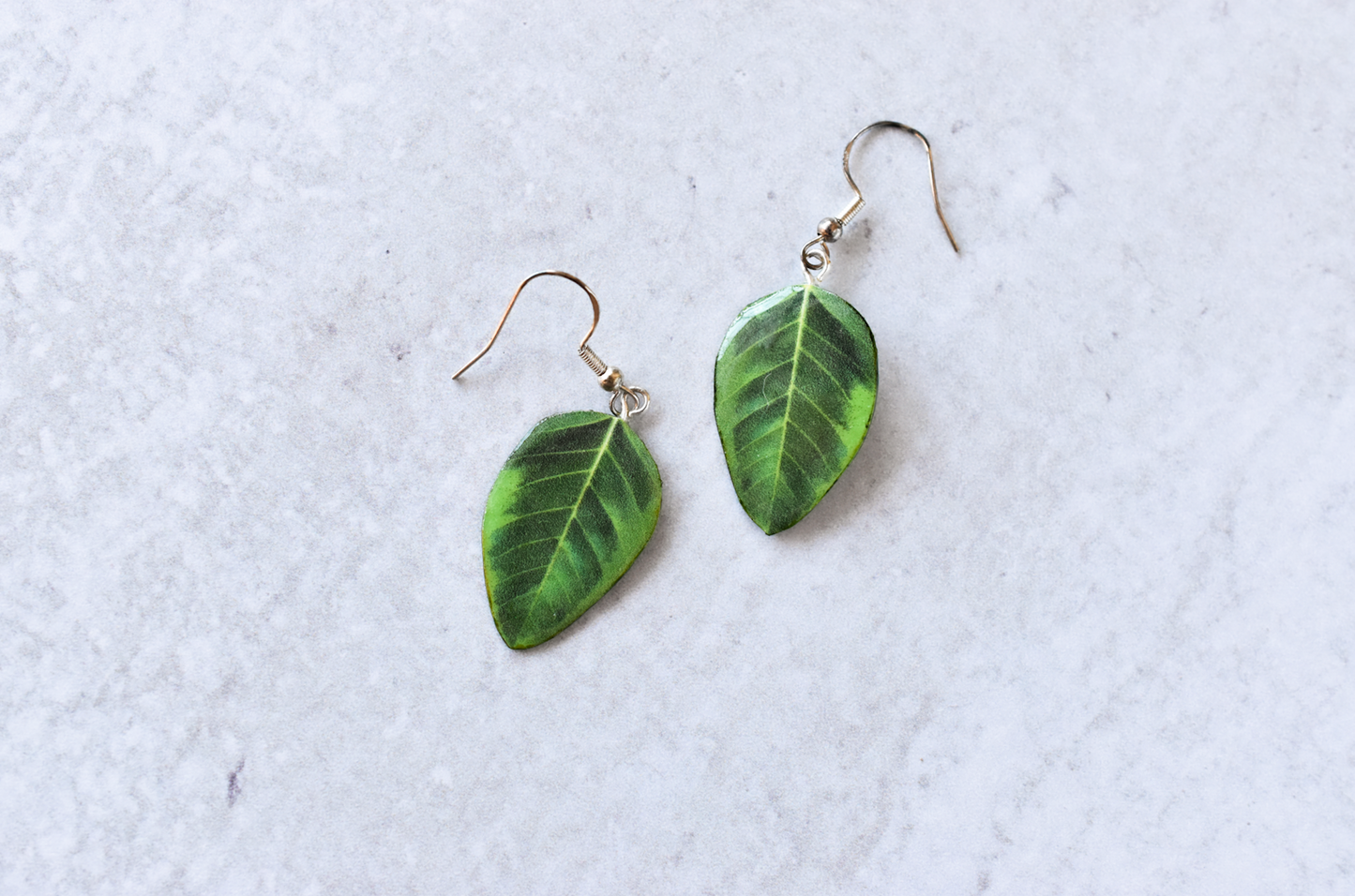 Ficus Audrey Plant Earrings | Leaf Earrings