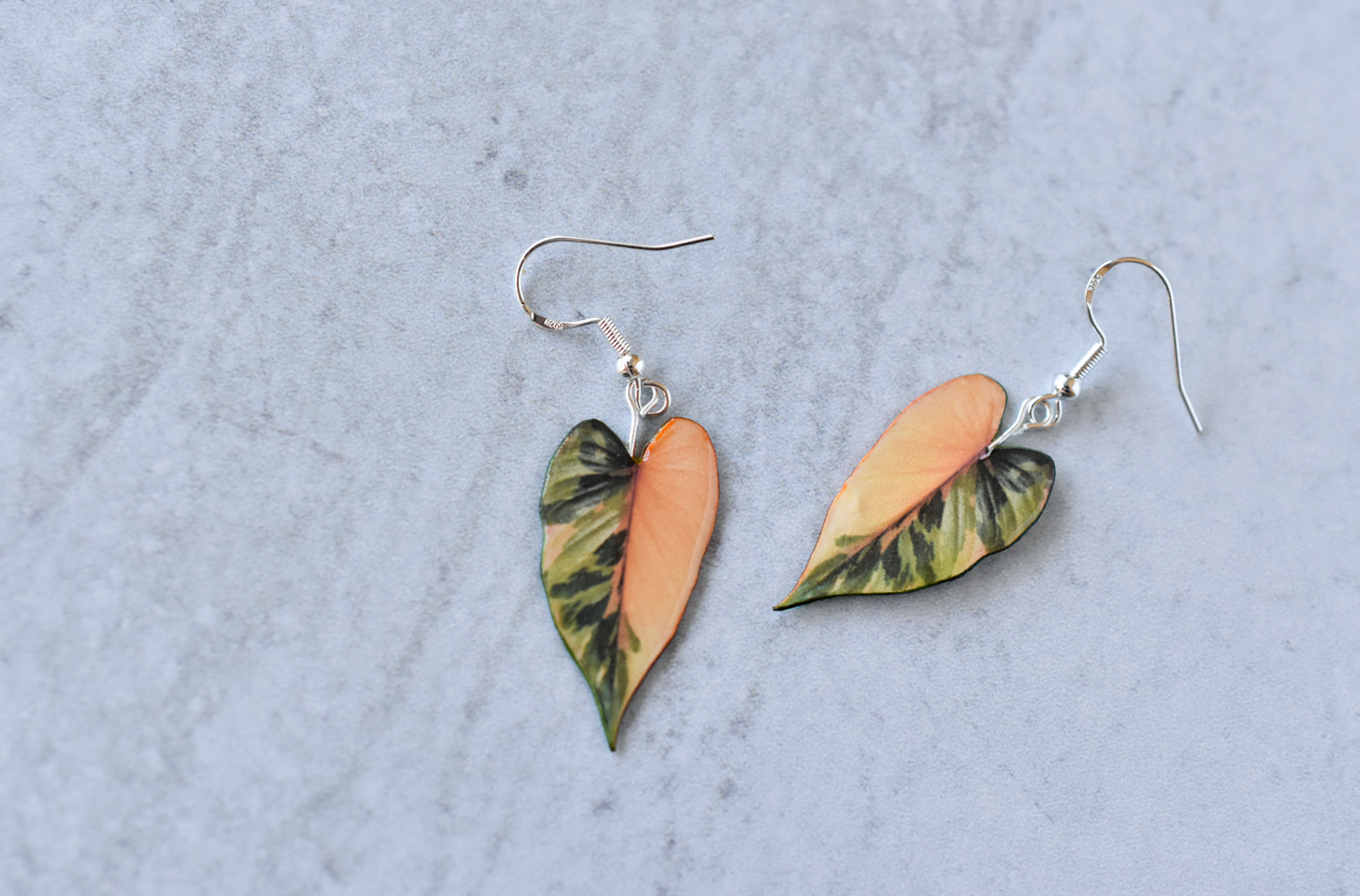 Homalomena Pink Diamond RARE Plant Earrings | Leaf Earrings