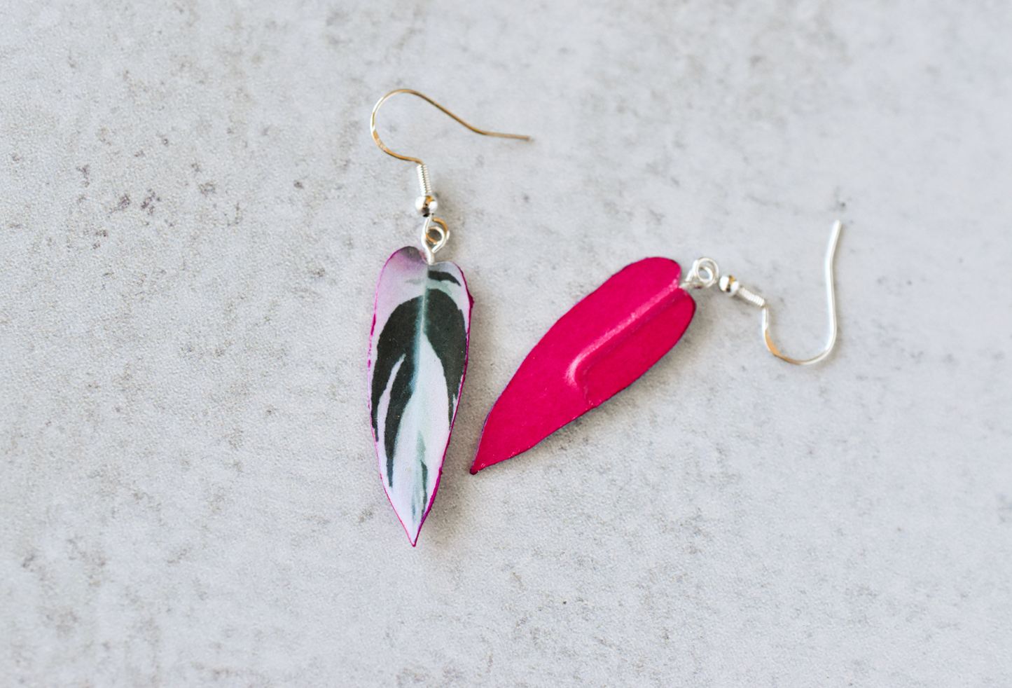Stromanthe Triostar Plant Earrings | Leaf Earrings