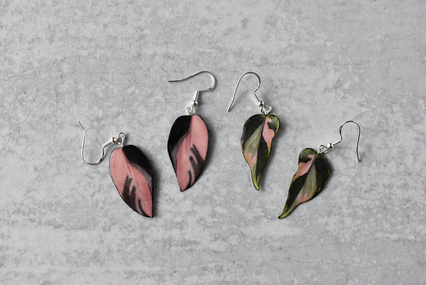 Philodendron Pink Princess "PPP" Dark Plant Earrings | Leaf Earrings