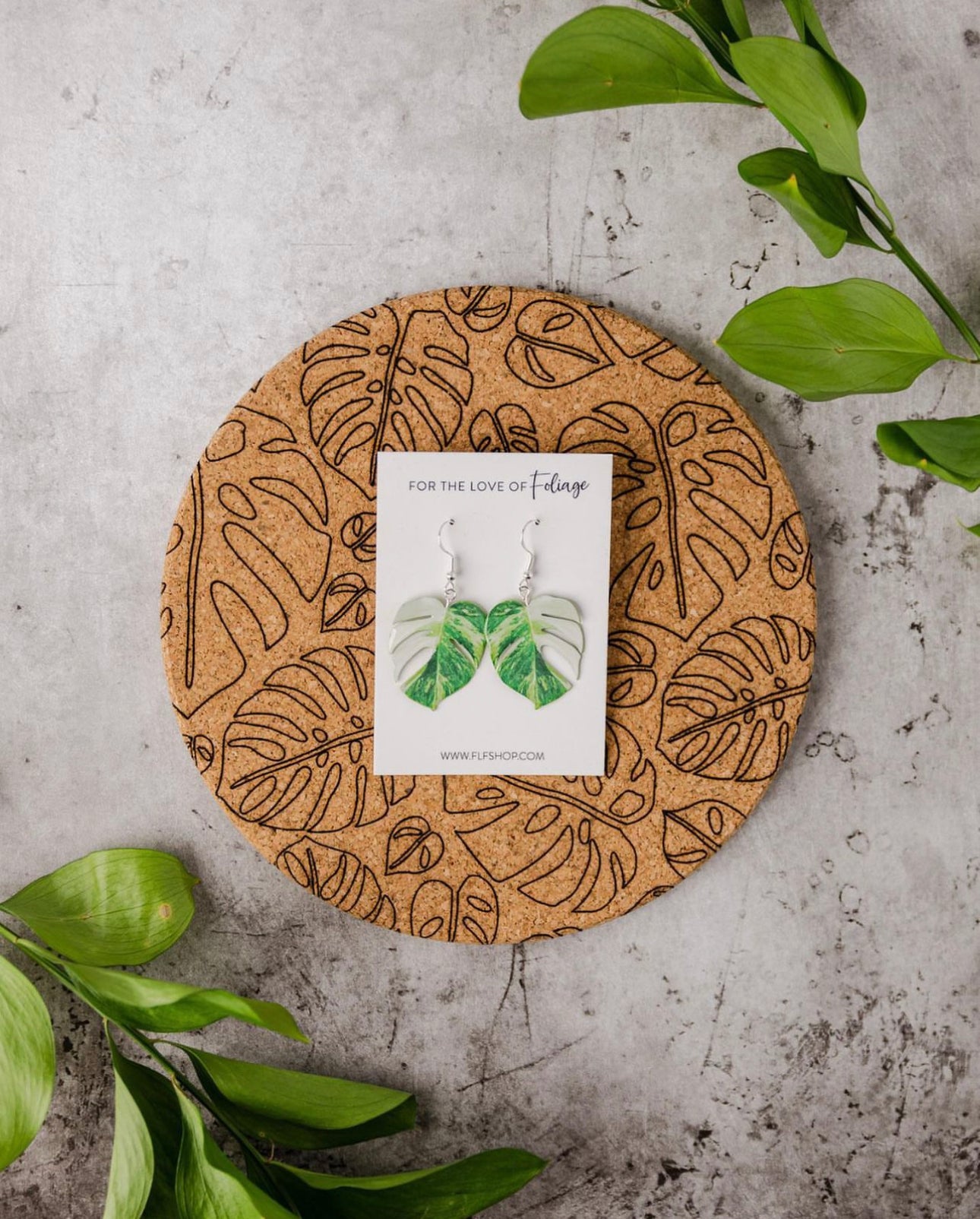albo monstera half moon Monstera Albo Half Moon Plant Earrings