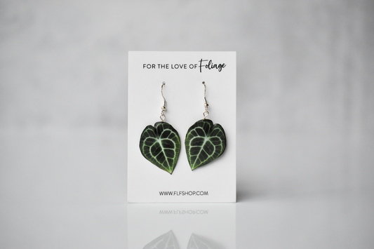 Anthurium Clarinervium Plant Earrings | Leaf Earrings