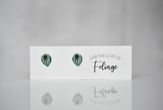 Watermelon Peperomia Stud Earrings | Leaf Earrings