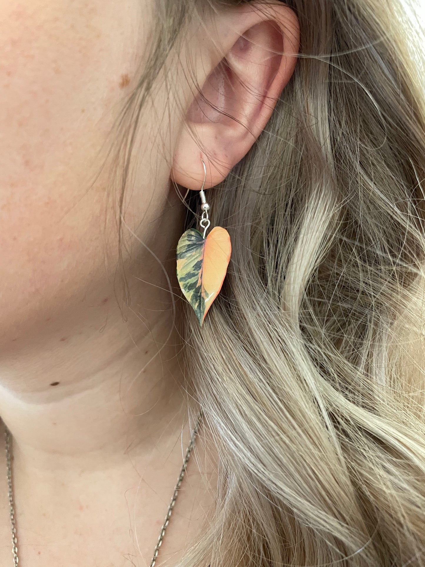 Homalomena Pink Diamond RARE Plant Earrings | Leaf Earrings