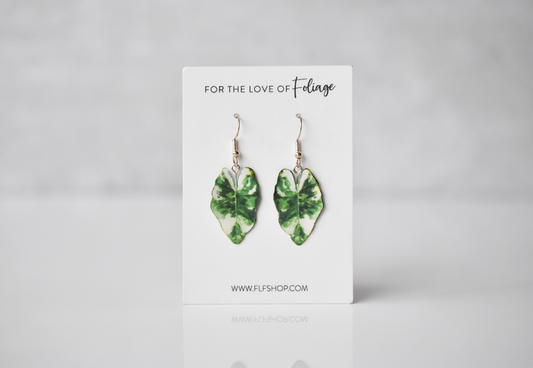 Variegated Alocasia Macrorrhiza Plant Earrings | Leaf Earrings