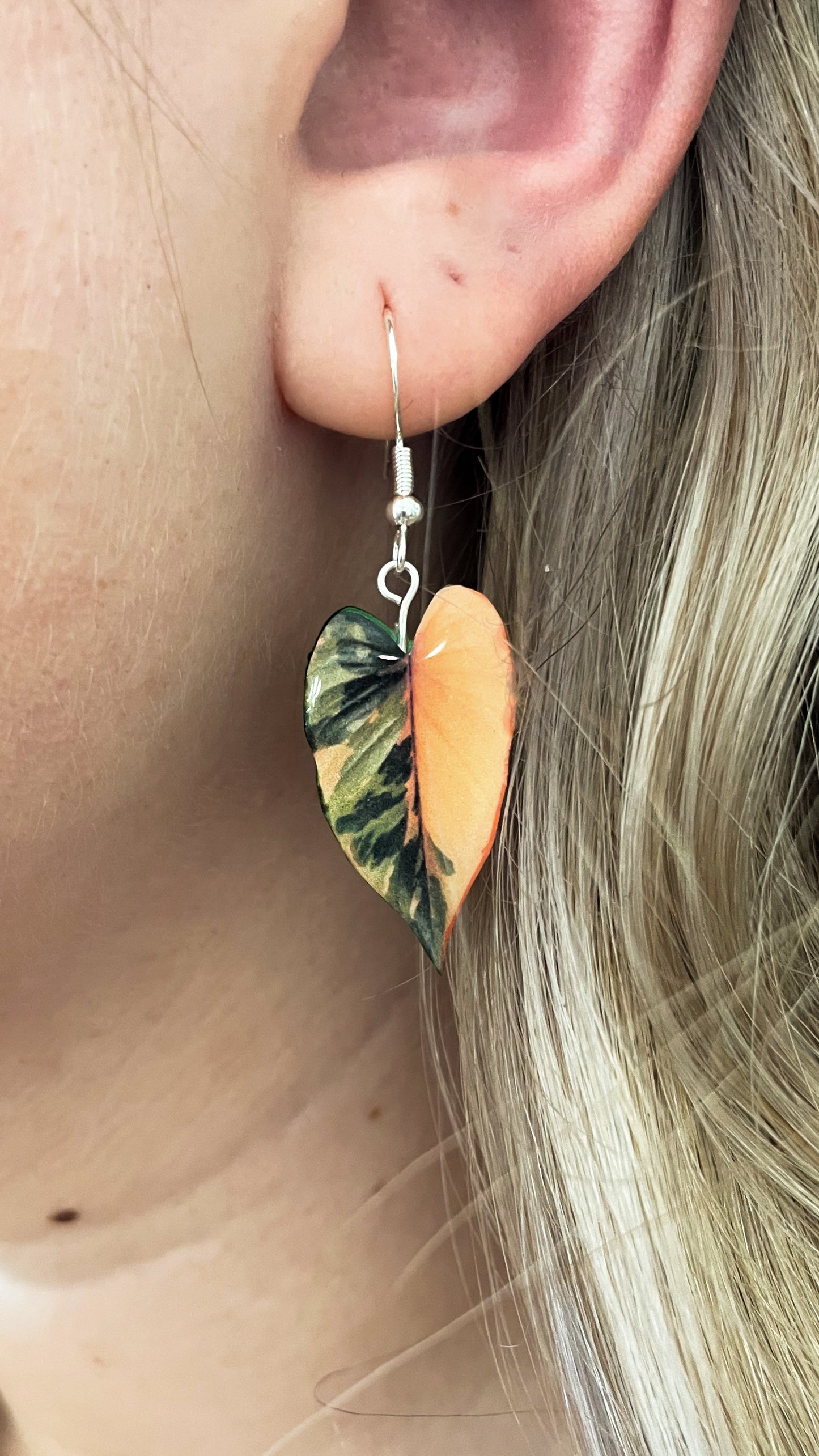 Homalomena Pink Diamond RARE Plant Earrings | Leaf Earrings