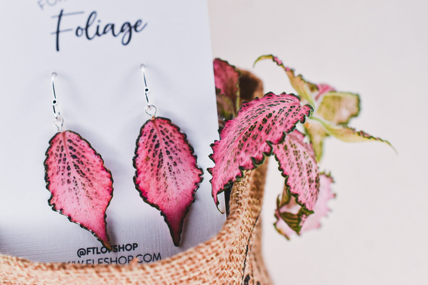 Fittonia Frankie Plant Earrings | Leaf Earrings
