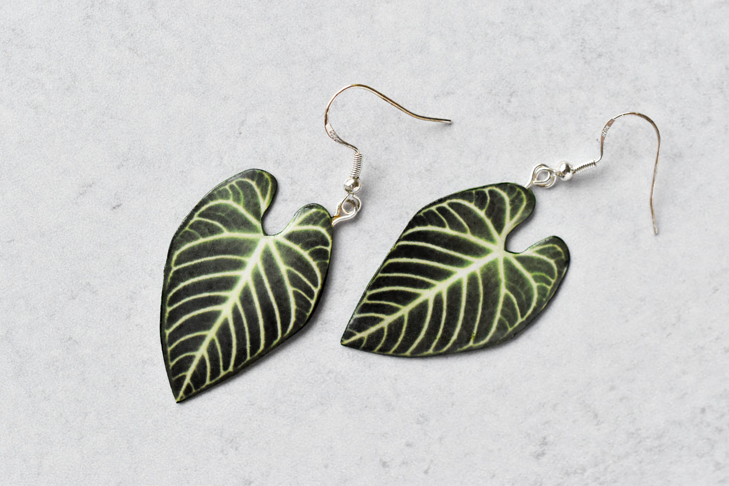Anthurium Regale Plant Earrings | Leaf Earrings