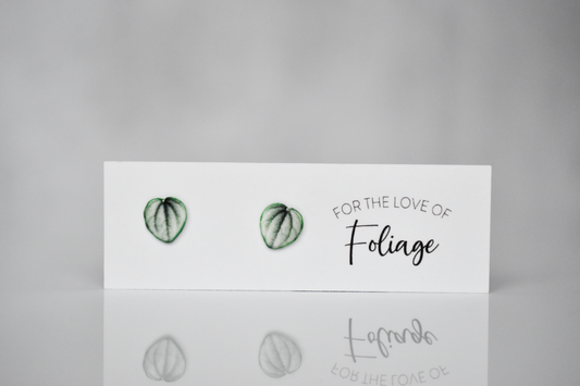 Frost Peperomia Stud Earrings | Leaf Earrings
