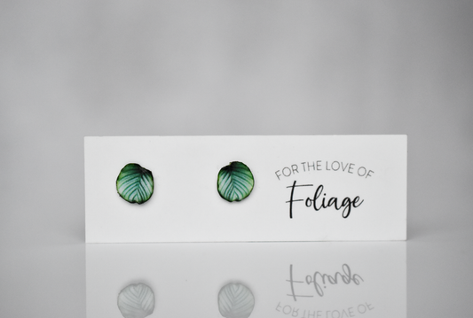 Calathea Orbifolia Stud Earrings | Leaf Earrings