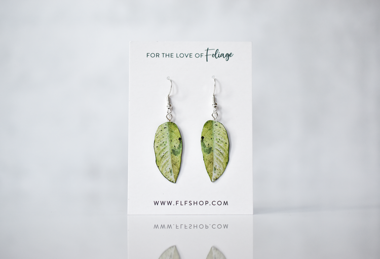 Dieffenbachia Earrings