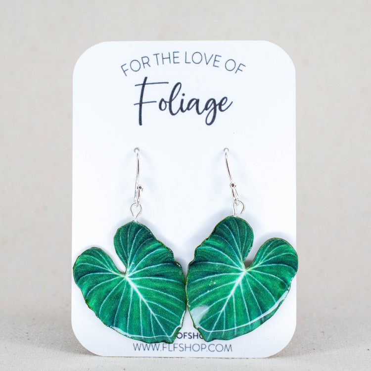 Philodendron Earrings