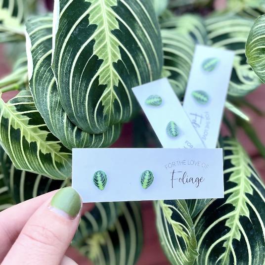 Calathea & Maranta Earrings