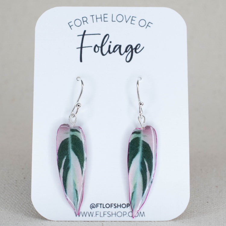 Stromanthe Earrings