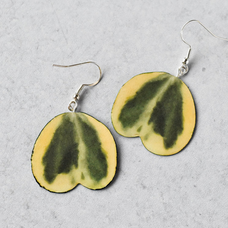 Hoya Earrings