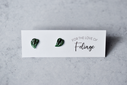 Scindapsus Argyraeus "Satin Pothos" Stud Earrings | Leaf Earrings