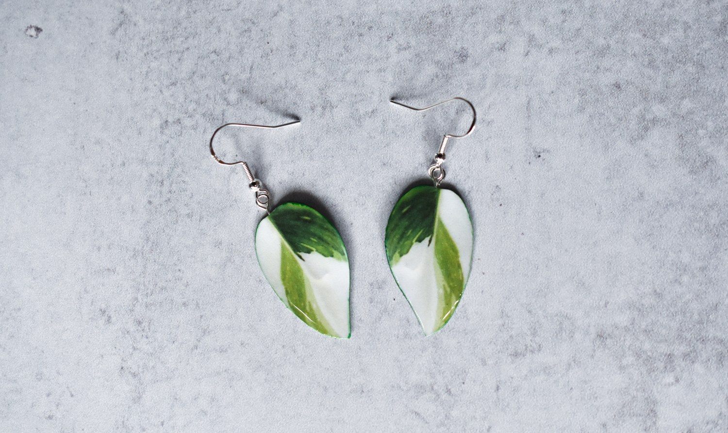 Philodendron "White Wizard" Plant Earrings | Leaf Earrings