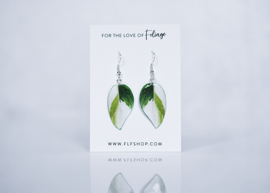 Philodendron "White Wizard" Plant Earrings | Leaf Earrings