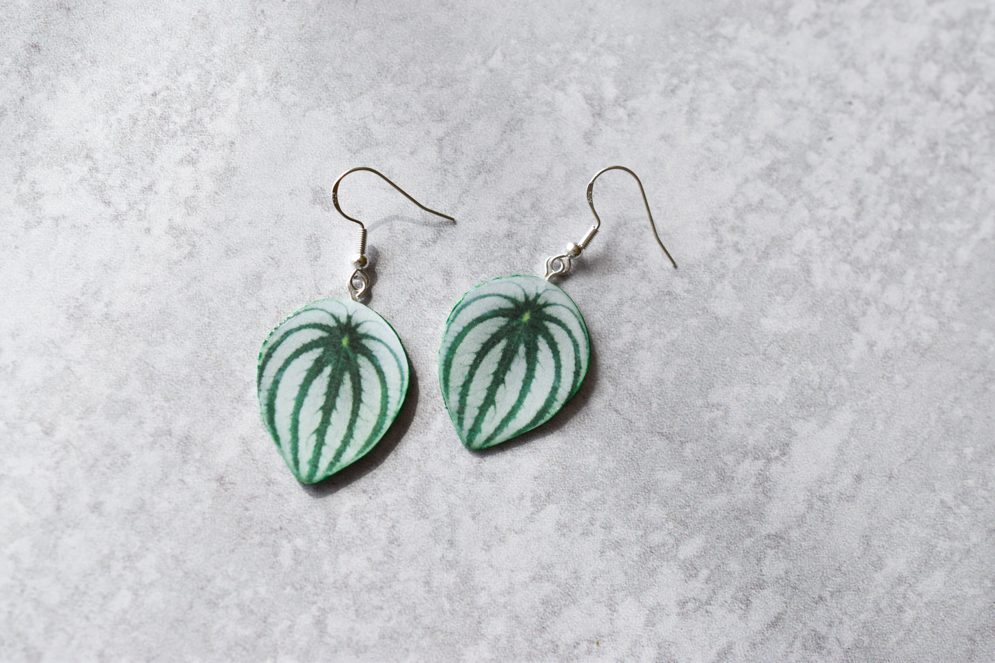 Watermelon Peperomia Plant Earrings | Leaf Earrings