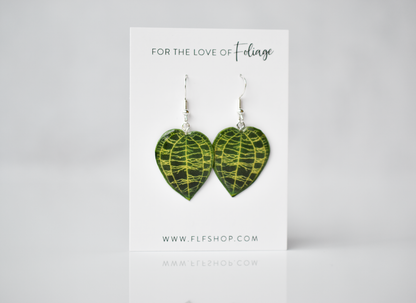 Macodes Petula Jewel Orchid Plant Earrings | Leaf Earrings