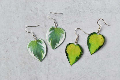 Hosta Patriot Plant Earrings | Leaf Earrings