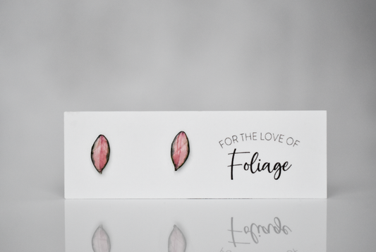 Hoya Krimson Princess Stud Earrings | Leaf Earrings