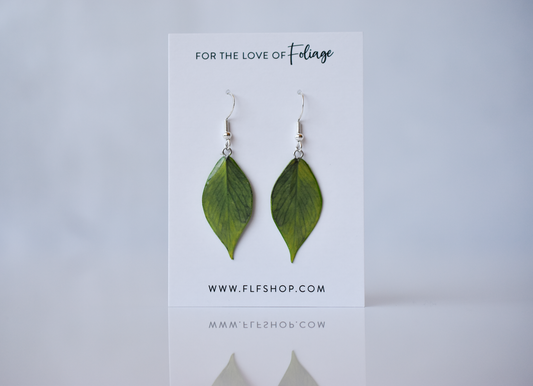 Hoya Polyneura Plant Earrings | Leaf Earrings