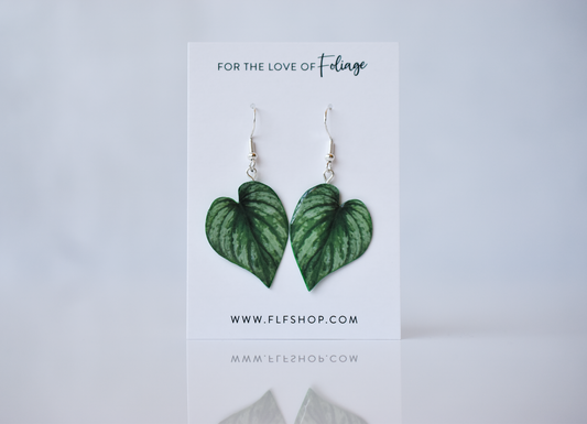 Philodendron Mamei Silver Plant Earrings | Leaf Earrings