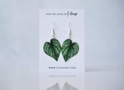 Philodendron Mamei Silver Plant Earrings | Leaf Earrings