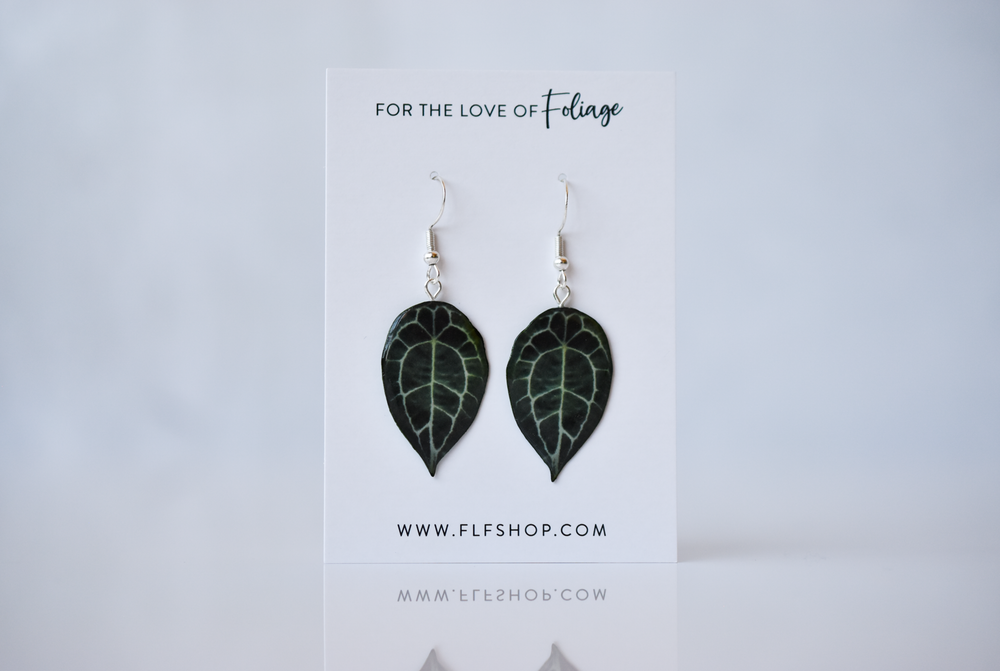 Anthurium Forgetii Plant Earrings | Leaf Earrings