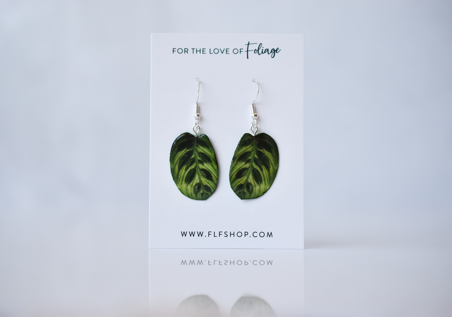 Calathea Makoyana Peacock Plant Earrings | Leaf Earrings