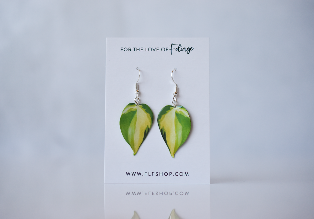 Philodendron Brasil Plant Earrings | Leaf Earrings