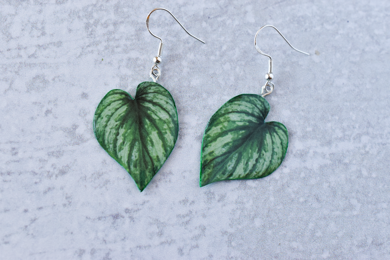 Philodendron Mamei Silver Plant Earrings | Leaf Earrings