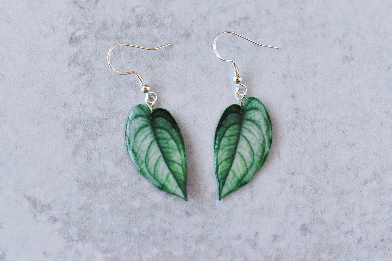 Monstera Siltepecana Plant Earrings | Leaf Earrings