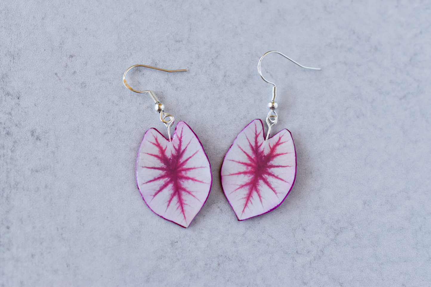 Caladium White Queen Plant Earrings | Leaf Earrings