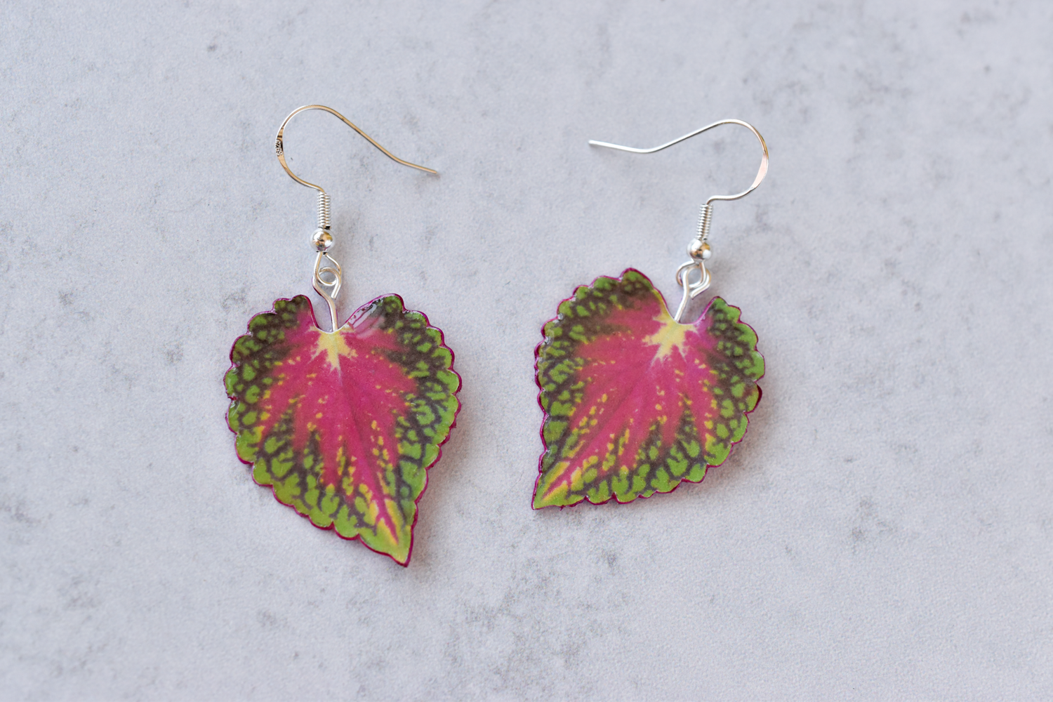 Watermelon Coleus Plant Earrings | Leaf Earrings