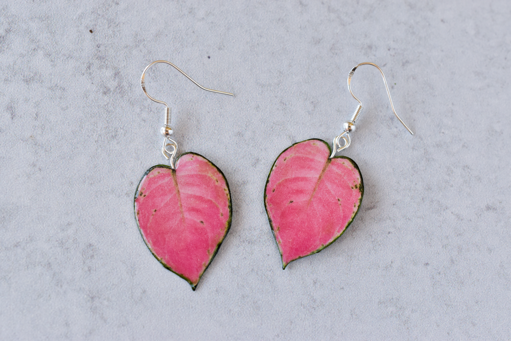 Aglaonema "Pink Star" Plant Earrings | Leaf Earrings