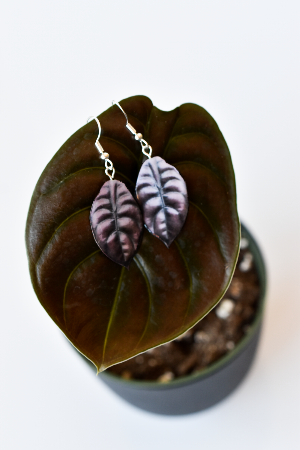 Alocasia Cuprea “Red Secret” Plant Earrings | Leaf Earrings