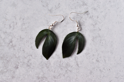 Rhaphidophora Decursiva “Dragon Tail” Plant Earrings | Leaf Earrings