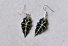 Alocasia Polly Plant Earrings | Leaf Earrings