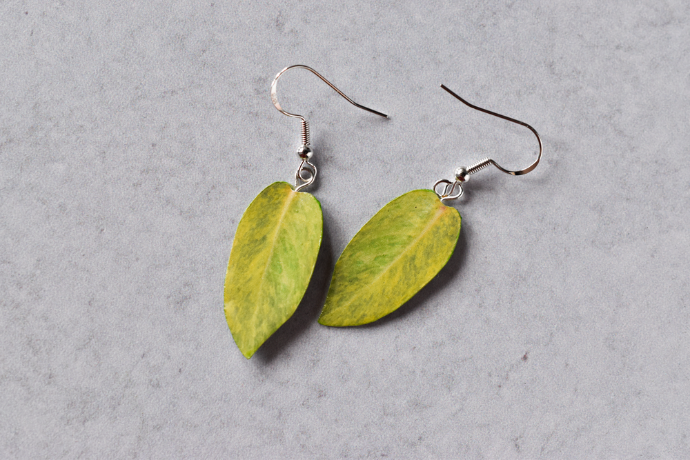 Philodendron "Painted Lady" Plant Earrings | Leaf Earrings