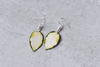 Hoya Carnosa Variegata Plant Earrings | Leaf Earrings