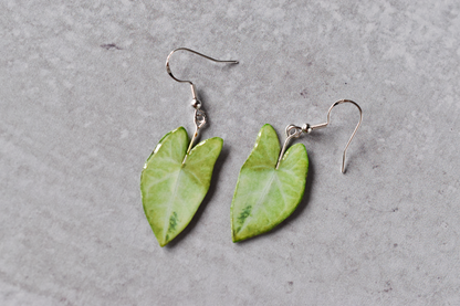 Syngonium White Butterfly Plant Earrings | Leaf Earrings