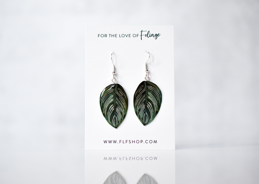 Calathea Ornata "Pink Stripe" Plant Earrings | Leaf Earrings