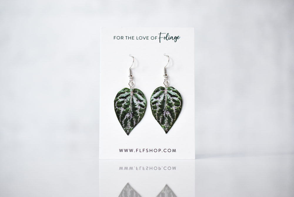 Piper Crocatum Plant Earrings | Leaf Earrings