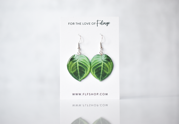 Syngonium Frosted Heart Plant Earrings | Leaf Earrings